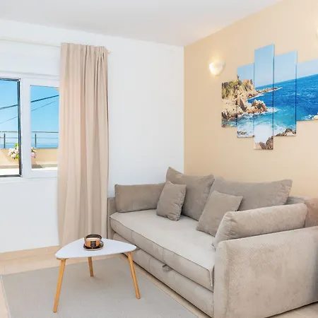 Pavlinovic Apartment *